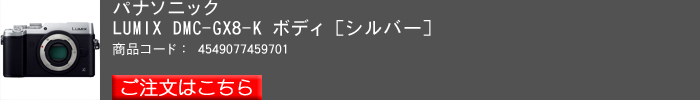 パナソニック,LUMIX,DMCGX8[ボディ,シルバー].jpg
