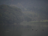 Cap_P1000324_2013yaotomi_.jpg