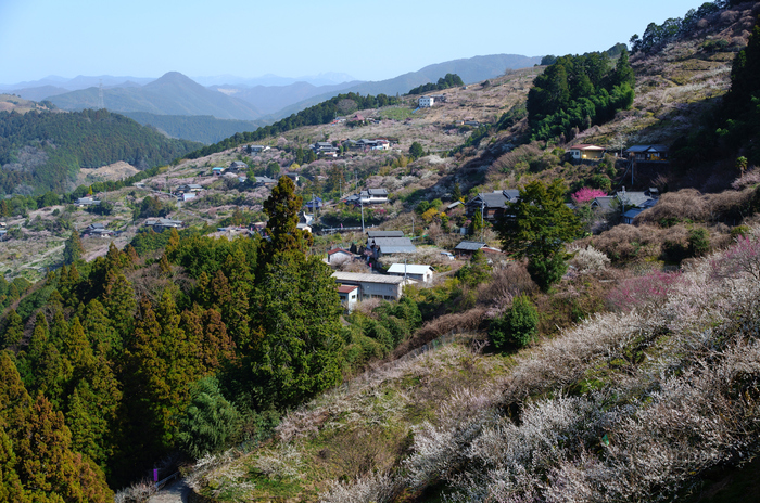 SDIM4372,50 mm,F8,iso100(JPEG).jpg