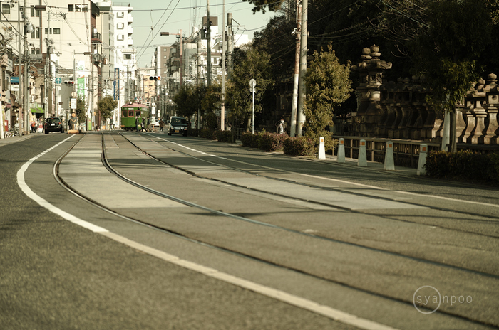 SDIM2456,90 mm,F3.2,iso100(JPEG).jpg